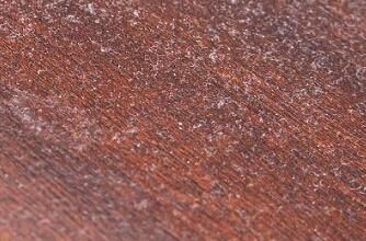 對于家里灰塵的清理，有什么方法嗎？